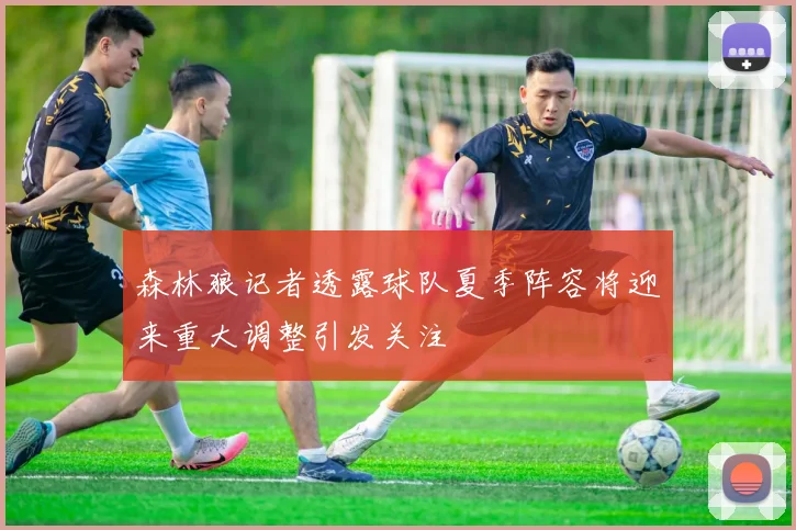 森林狼记者透露球队夏季阵容将迎来重大调整引发关注