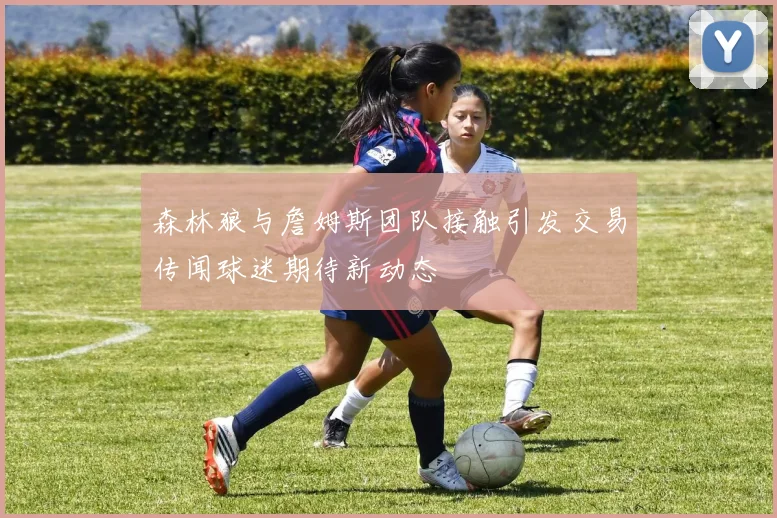 森林狼与詹姆斯团队接触引发交易传闻球迷期待新动态